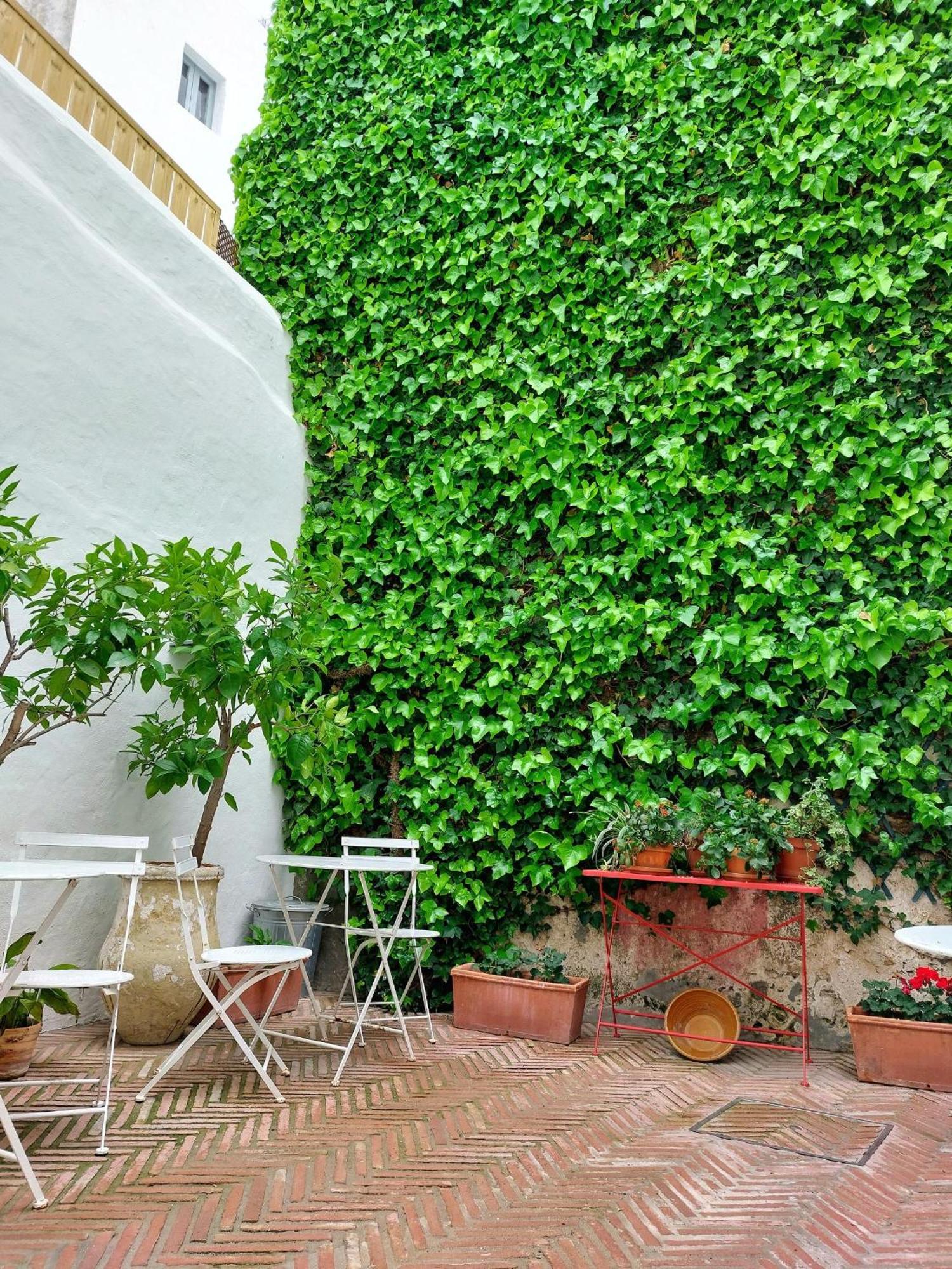 Casa Shelly Hospederia Otel Vejer de la Frontera Dış mekan fotoğraf