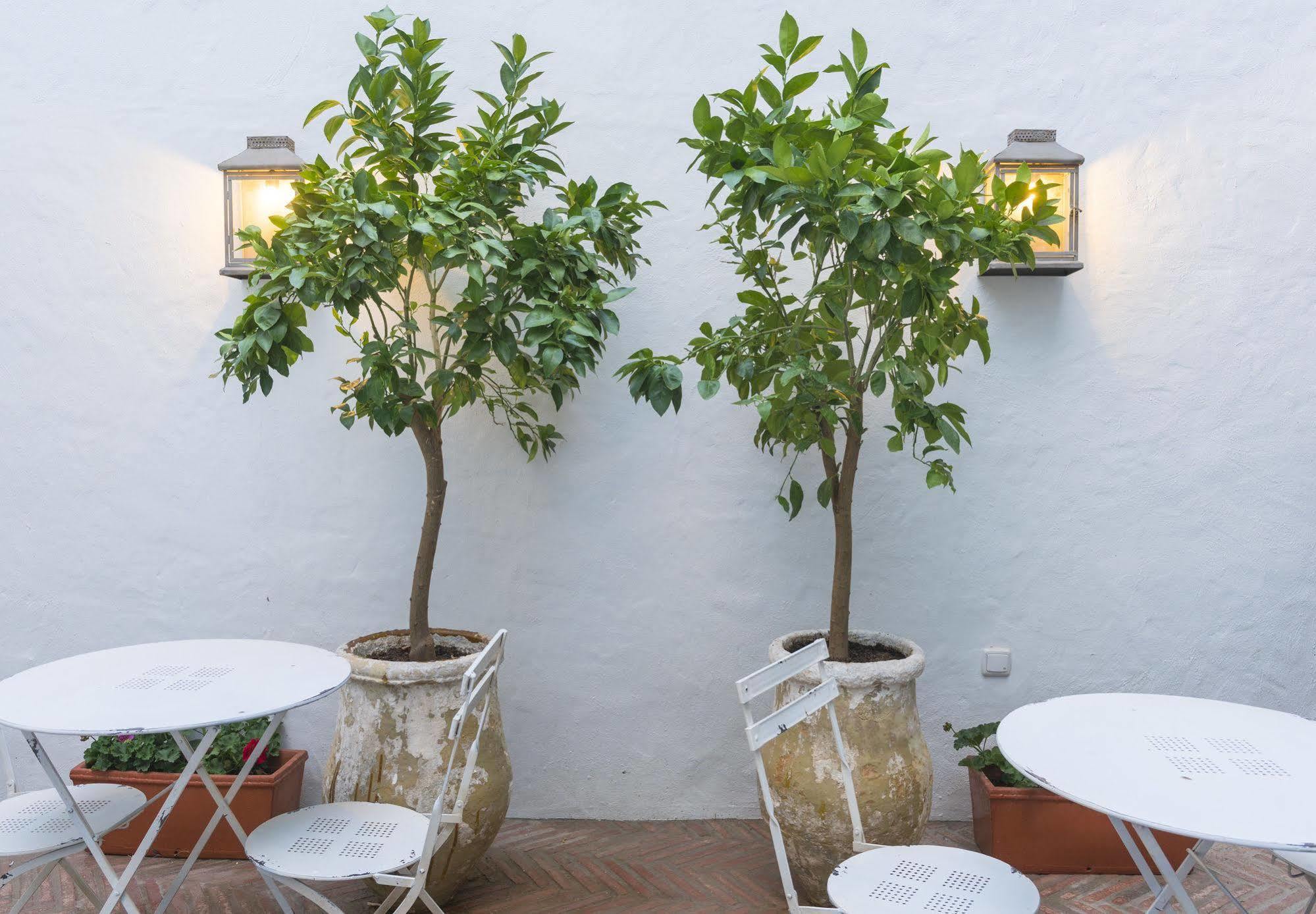 Casa Shelly Hospederia Otel Vejer de la Frontera Dış mekan fotoğraf